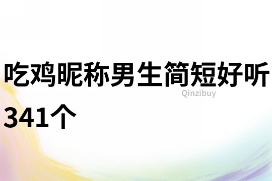 吃鸡昵称男生简短好听341个