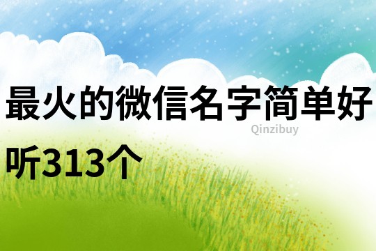 最火的微信名字简单好听313个