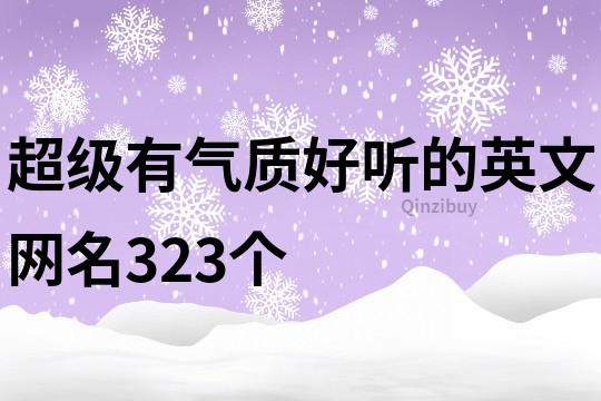 超级有气质好听的英文网名323个