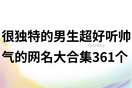 很独特的男生超好听帅气的网名大合集361个