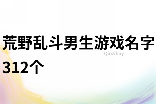 荒野乱斗男生游戏名字312个