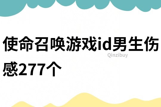 使命召唤游戏id男生伤感277个