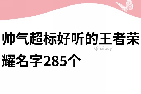 帅气超标好听的王者荣耀名字285个