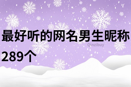 最好听的网名男生昵称289个