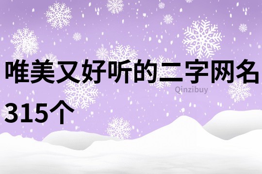 唯美又好听的二字网名315个