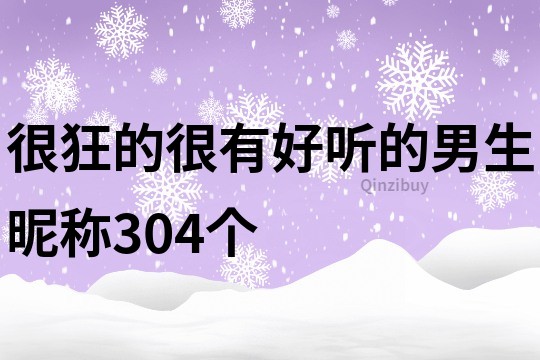 很狂的很有好听的男生昵称304个