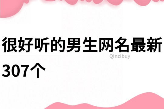 很好听的男生网名最新307个