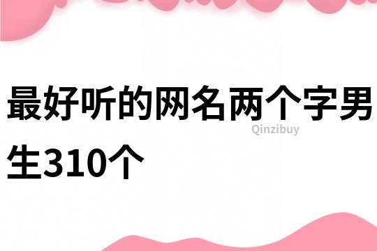 最好听的网名两个字男生310个