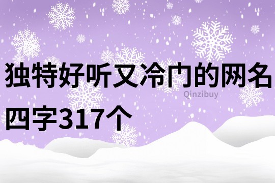 独特好听又冷门的网名四字317个