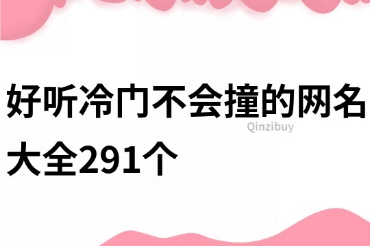 好听冷门不会撞的网名大全291个