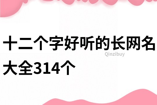 十二个字好听的长网名大全314个