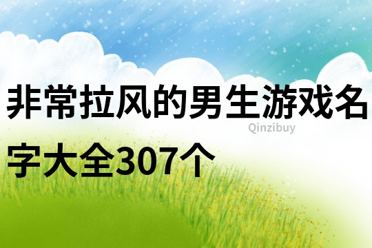 非常拉风的男生游戏名字大全307个