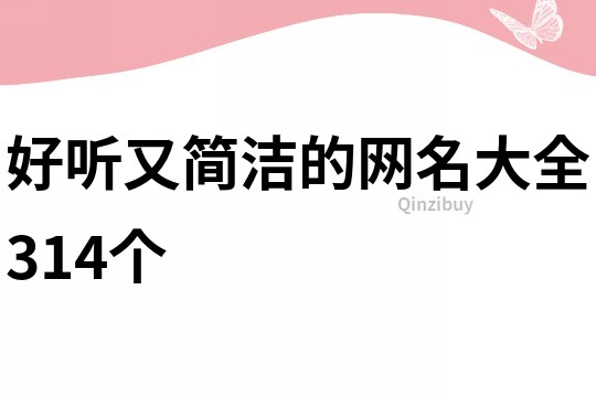 好听又简洁的网名大全314个