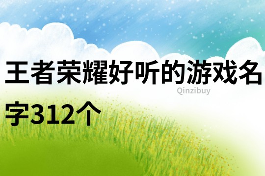 王者荣耀好听的游戏名字312个