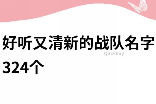 好听又清新的战队名字324个