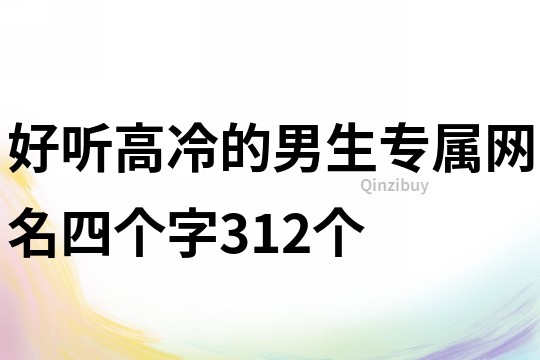 好听高冷的男生专属网名四个字312个