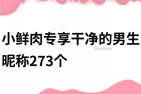 小鲜肉专享干净的男生昵称273个