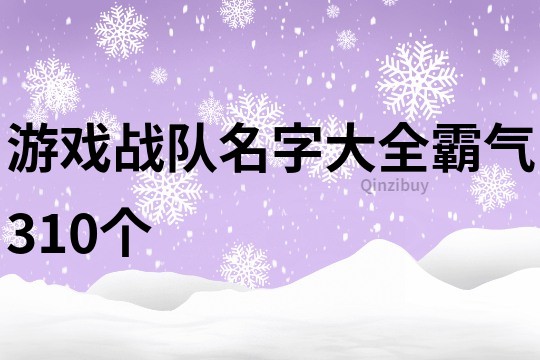 游戏战队名字大全霸气310个