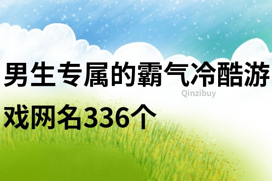 男生专属的霸气冷酷游戏网名336个