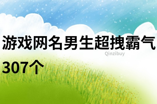 游戏网名男生超拽霸气307个