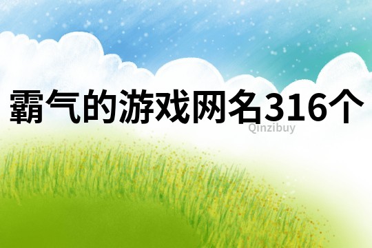 霸气的游戏网名316个