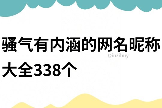 骚气有内涵的网名昵称大全338个