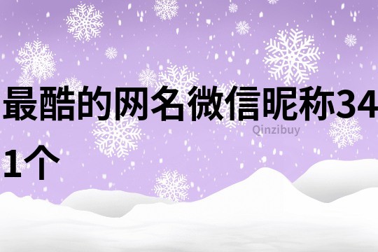 最酷的网名微信昵称341个