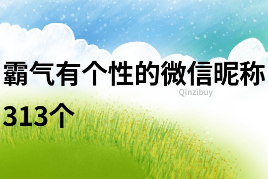 霸气有个性的微信昵称313个