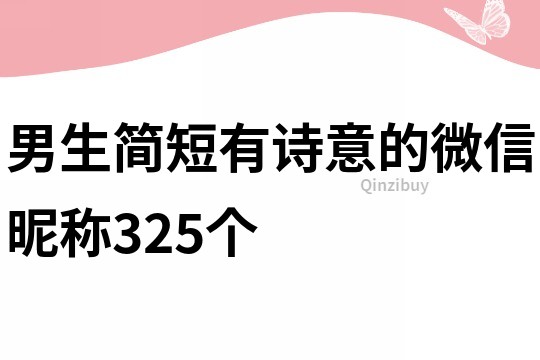 男生简短有诗意的微信昵称325个