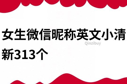 女生微信昵称英文小清新313个