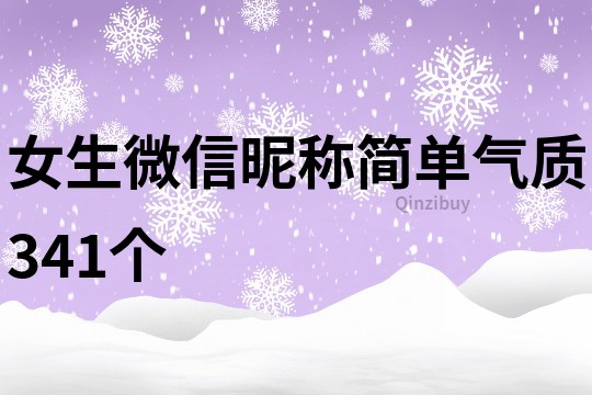 女生微信昵称简单气质341个