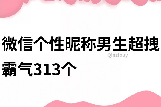 微信个性昵称男生超拽霸气313个