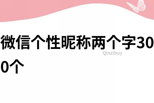 微信个性昵称两个字300个