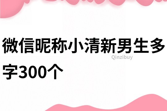 微信昵称小清新男生多字300个