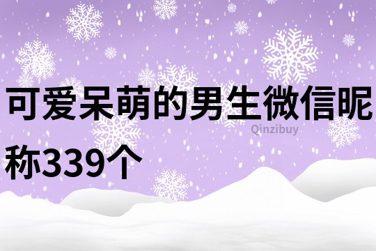 可爱呆萌的男生微信昵称339个