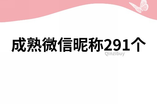 成熟微信昵称291个