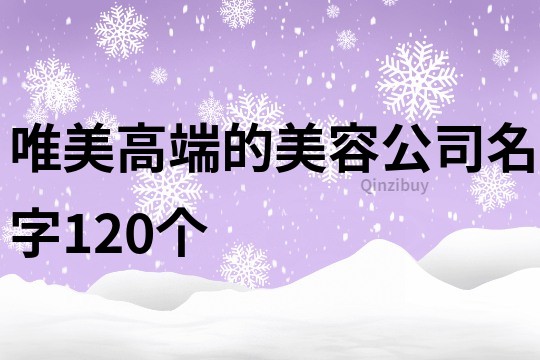 唯美高端的美容公司名字120个