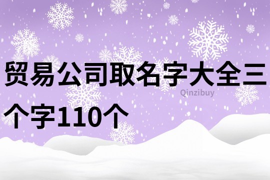 贸易公司取名字大全三个字110个