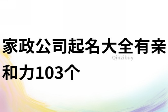 家政公司起名大全有亲和力103个