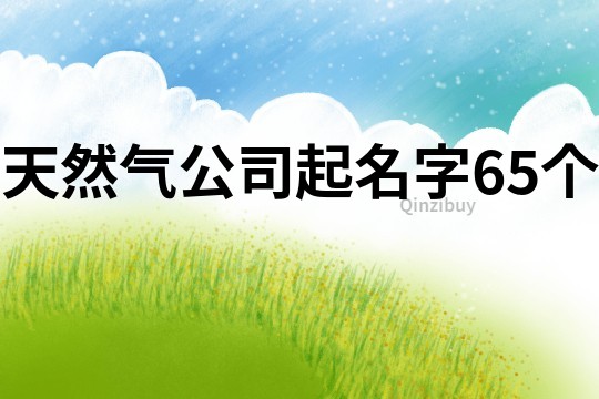 天然气公司起名字65个