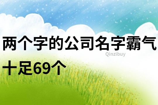 两个字的公司名字霸气十足69个