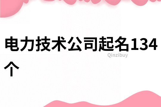 电力技术公司起名134个