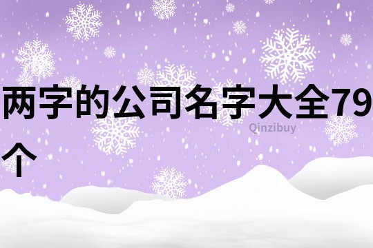 两字的公司名字大全79个