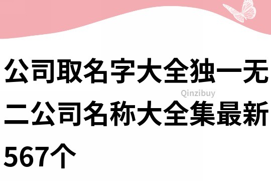 公司取名字大全独一无二,公司名称大全集最新567个