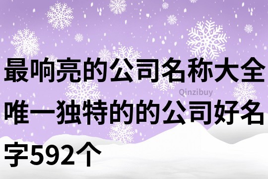 最响亮的公司名称大全,唯一独特的的公司好名字592个