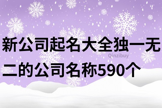 新公司起名大全,独一无二的公司名称590个