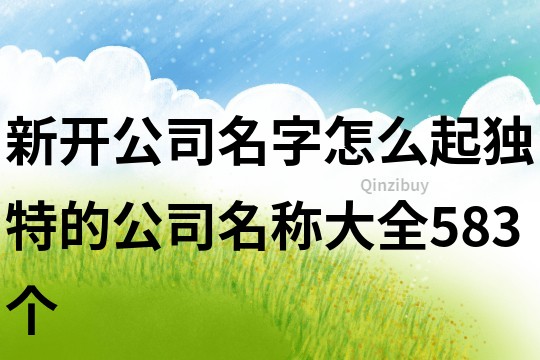 新开公司名字怎么起,独特的公司名称大全583个