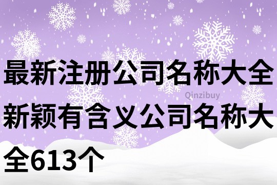 最新注册公司名称大全,新颖有含义公司名称大全613个