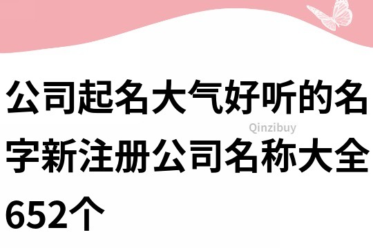 公司起名大气好听的名字,新注册公司名称大全652个