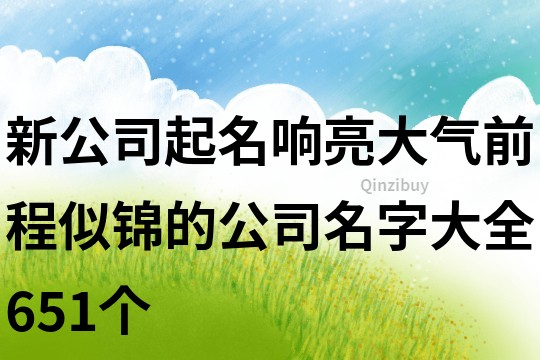 新公司起名响亮大气,前程似锦的公司名字大全651个